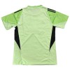 Original Fußballtrikot Newcastle United Torwart 2025-26 Für Herren